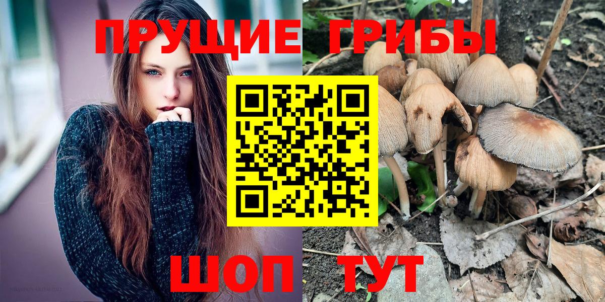 Зерноград  купить   Вход с VPN  Псилоцибиновые грибы ЛСД  Галлюциногенные грибы ЛСД 